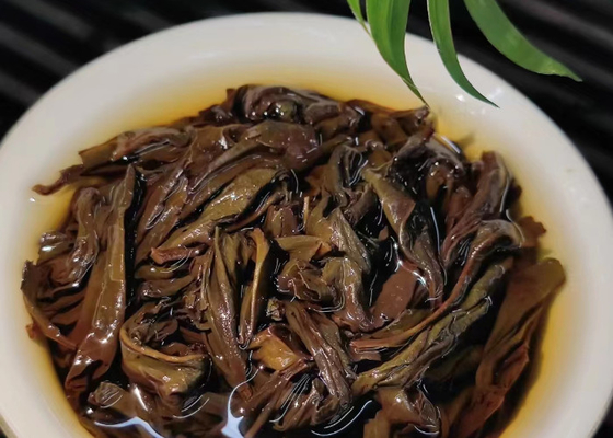 Chá Oolong quente ou frio com aroma floral para servir sugestões