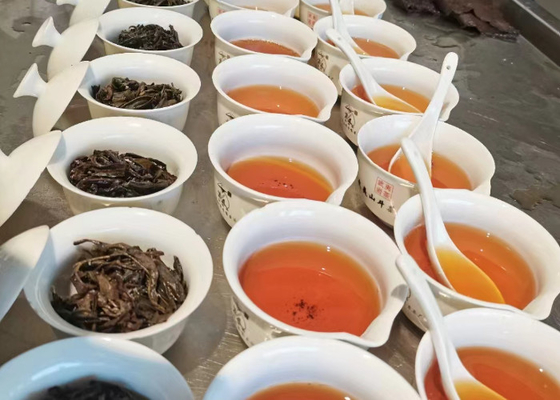 Chá Oolong quente ou frio com aroma floral para servir sugestões