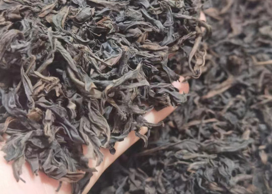 A DINAMARCA HONG PAO