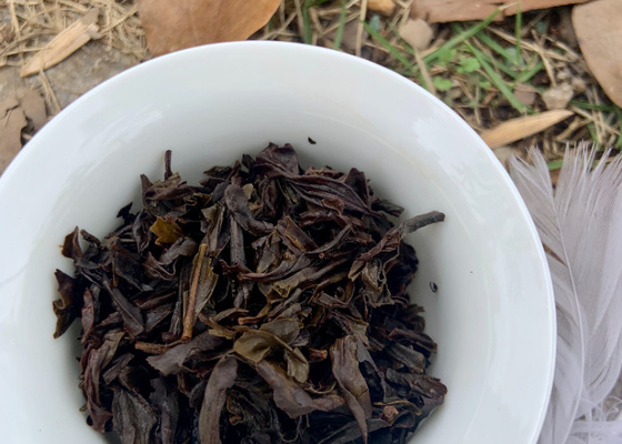 Inspirações florais revividas em xícaras de chá de ossos com 3-5 minutos de tempo de preparação