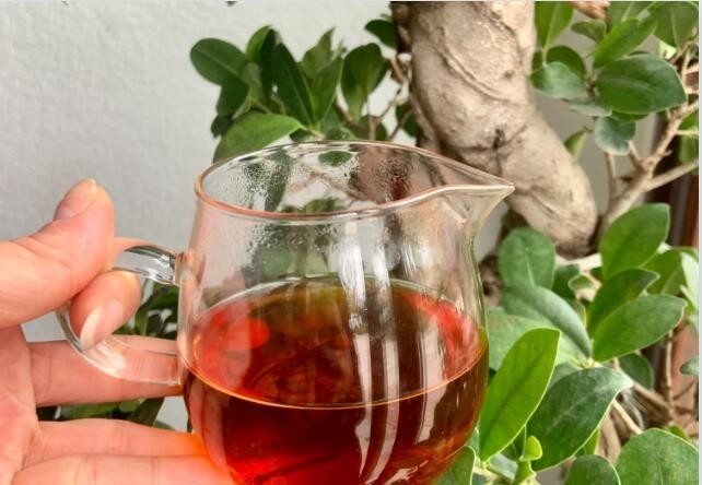 O chá de rocha Wuyi é um famoso chá tradicional na China.